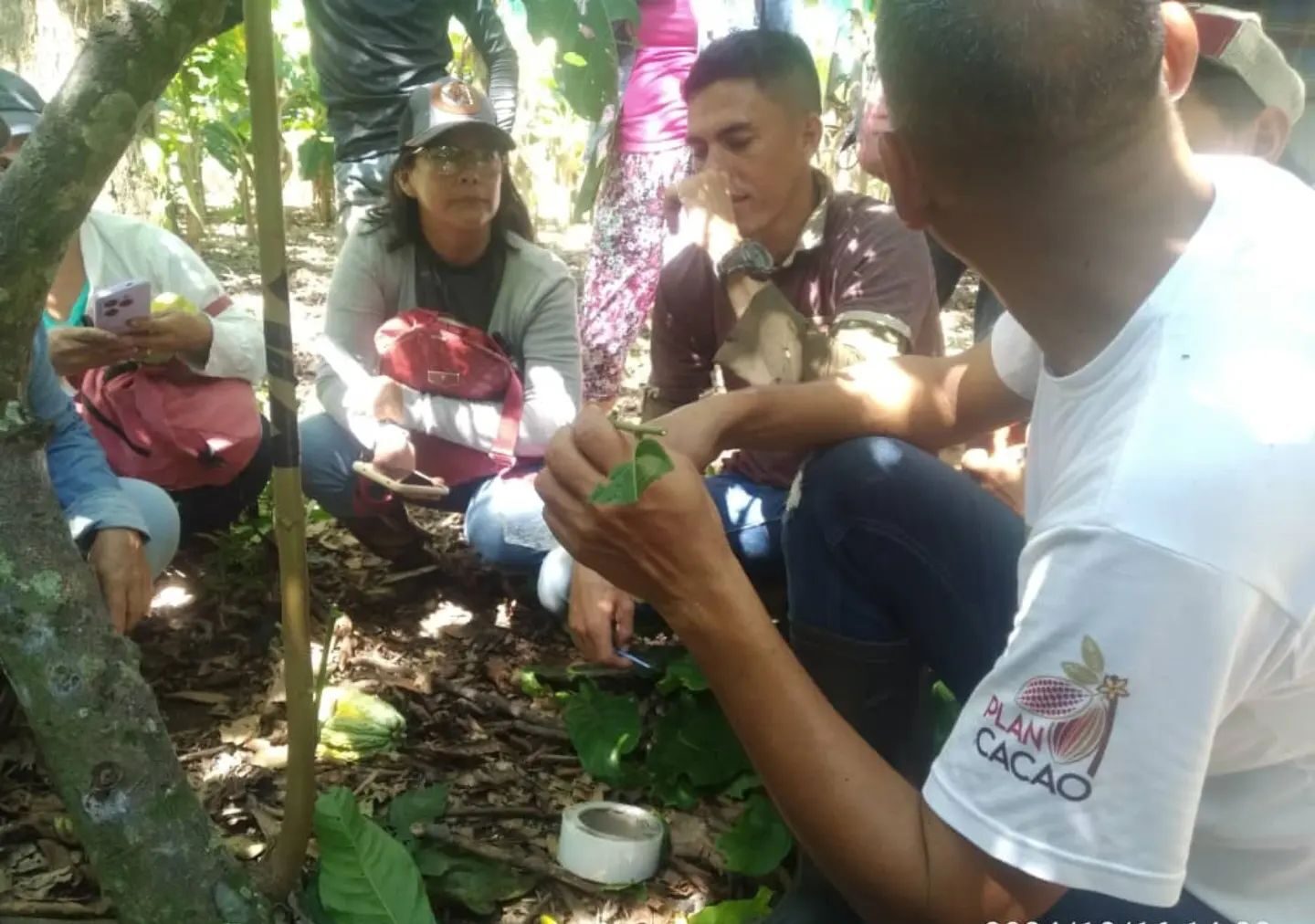 Culmina con éxito jornada de formación en productores de cacao del Alto Apure
