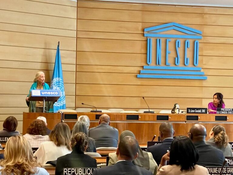 Unesco reconoce la labor innovadora de Jane Goodall