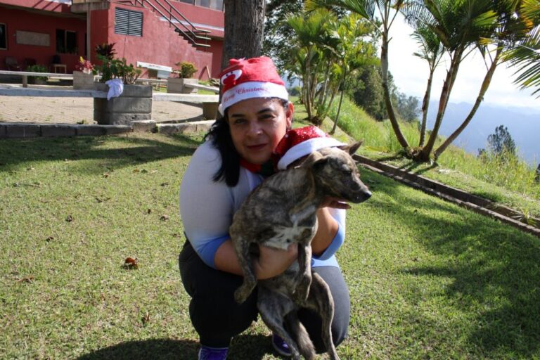 IDEA exhorta a mantener los cuidados con las mascotas durante las fiestas decembrinas