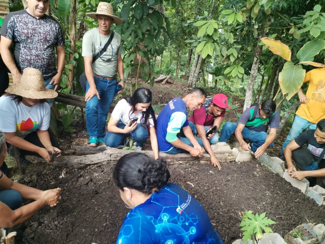 Técnicos y productores cafetaleros de Anzoátegui reciben formación sobre germinación