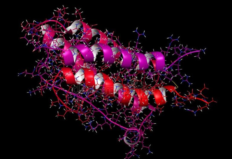 Científicos hallan células responsables de la producción de glóbulos rojos