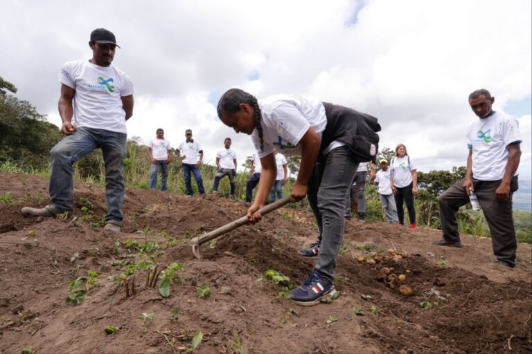 Venezuela avanza hacia la soberanía agroalimentaria