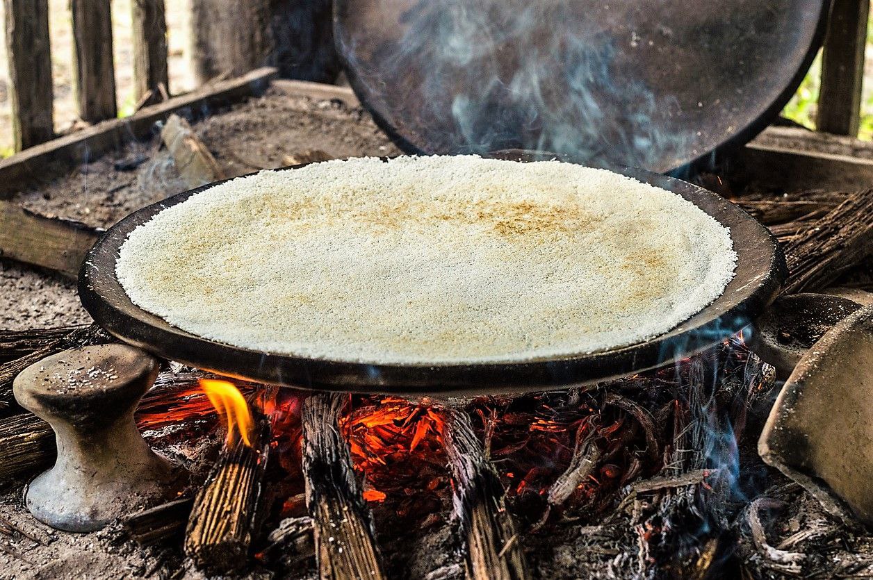 El casabe venezolano engloba 3 mil años de historia