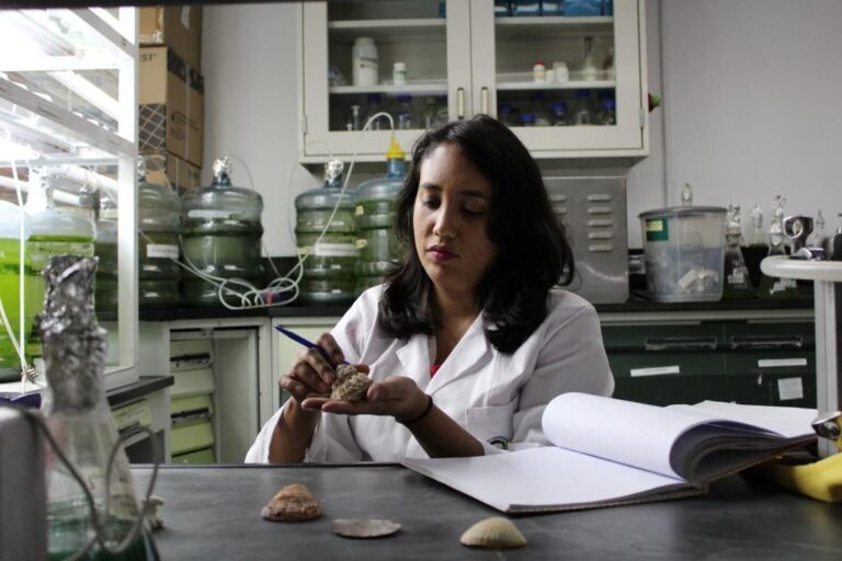 Biólogos del IDEA afirman que el caracol Chicoreus brevifrons aporta beneficios para la salud