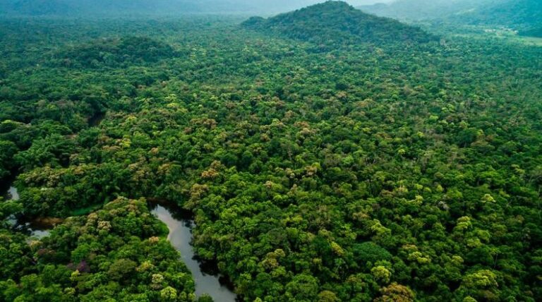 Centro de Ecología del IVIC ofrecerá conferencia sobre afectaciones del cambio climático al bosque Amazónico