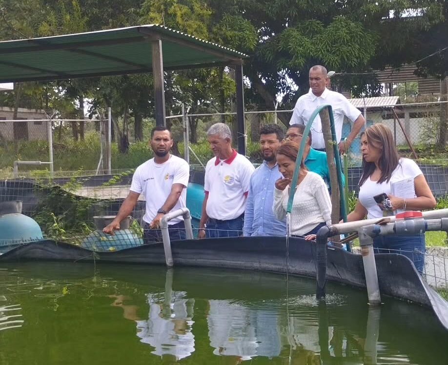 Ciepe promueve elaboración de alimentos sostenibles a partir del pez tilapia 