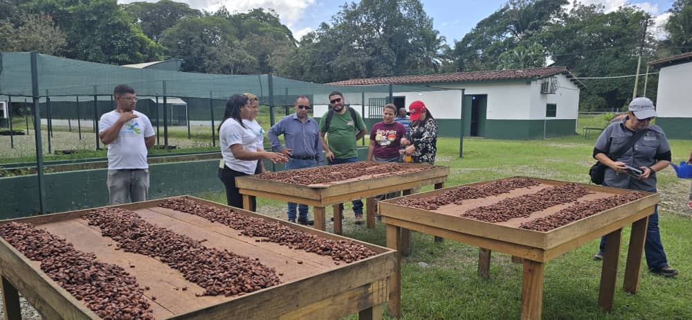 Productores merideños intercambian experiencias en Centro Nacional de Investigación, Desarrollo e Innovación del Cacao