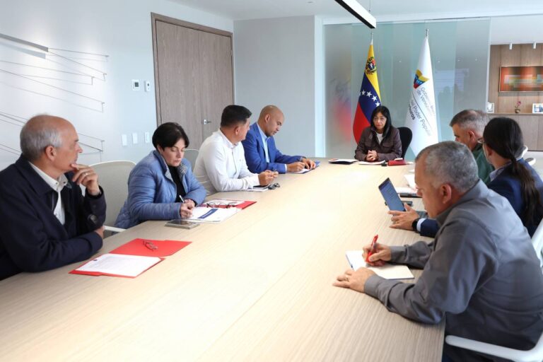 Consejo de Vicepresidentes Sectoriales evalúa plan de trabajo para fortalecer Gobierno Comunal