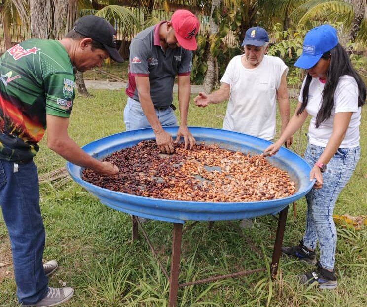 Mincyt realiza abordaje a productores y productoras de cacao en Cojedes