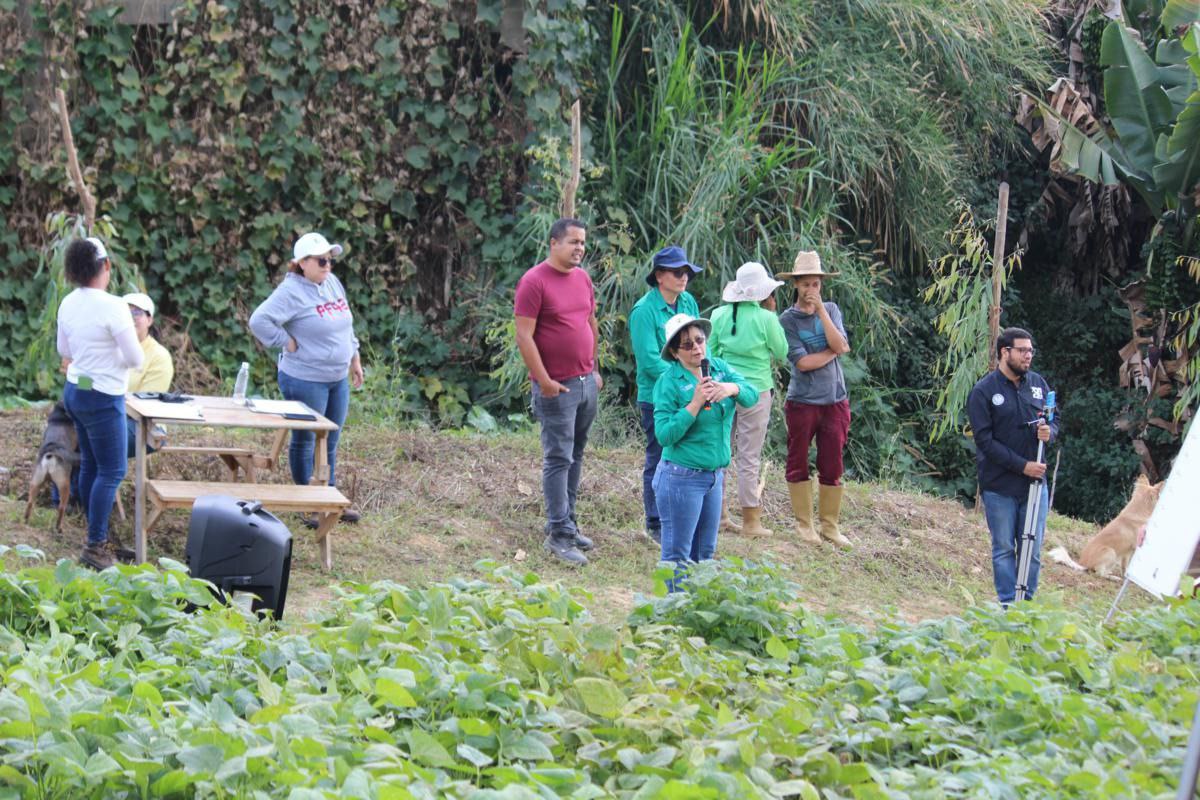 Investigadores del Idea y productores mirandinos corroboran ventajas del uso de bioinsumos