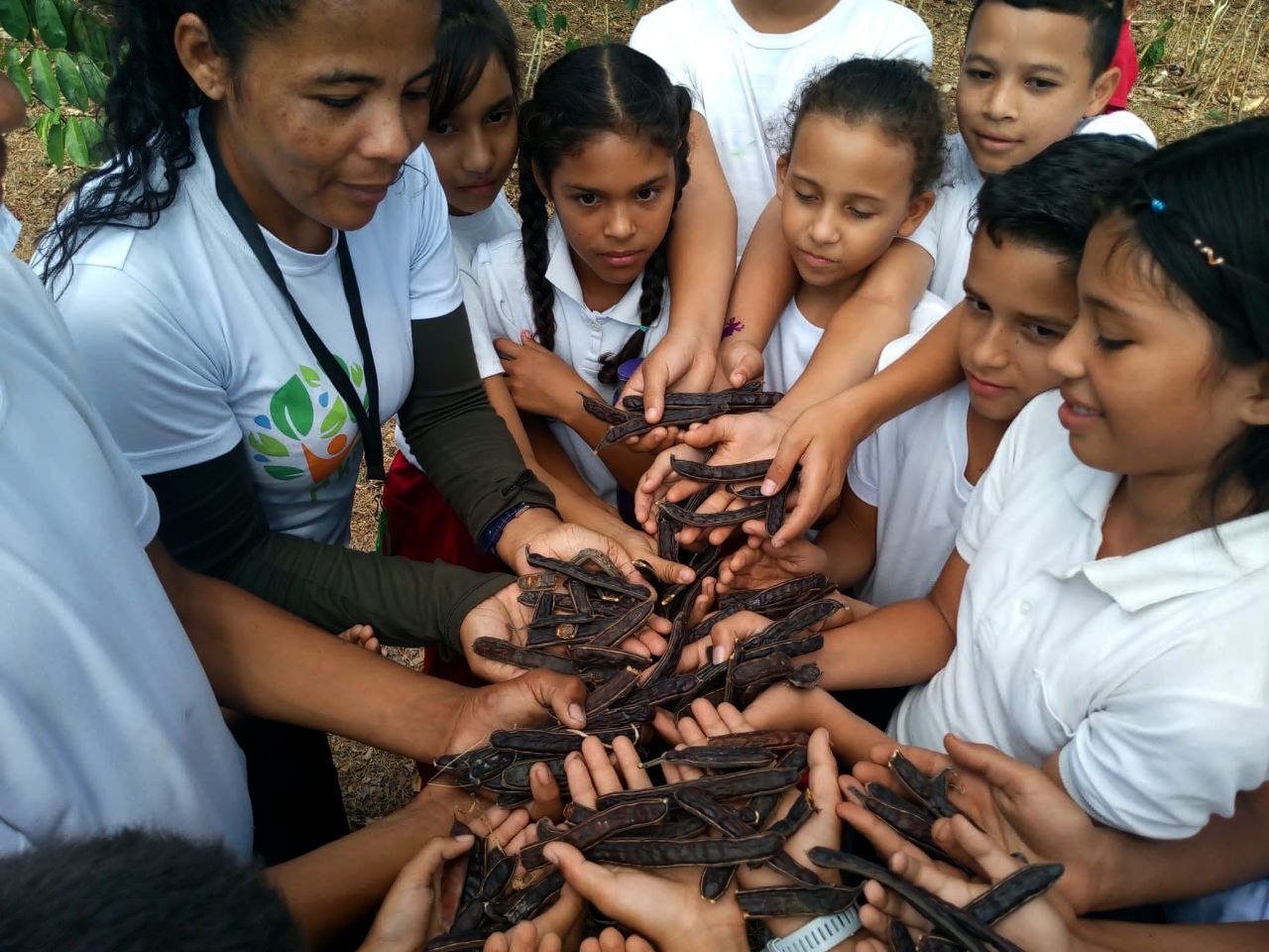 Niños y niñas participan en jornada de recolección de semillas en Portuguesa