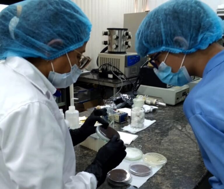 Estudiantes descubren la ciencia de los alimentos en visita guiada al Ciepe