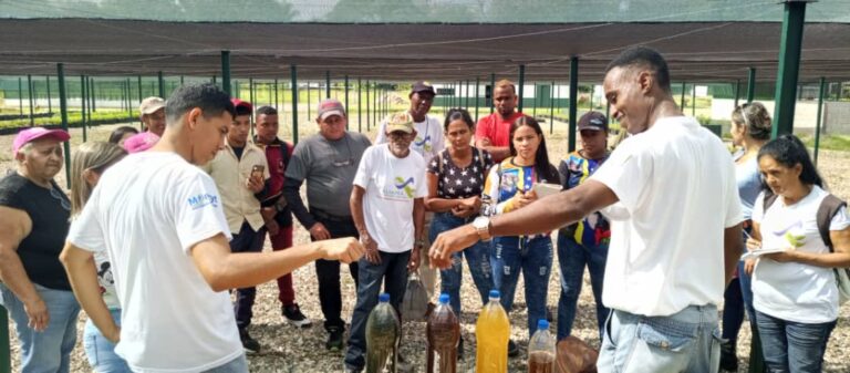 Productores y técnicos fortalecen capacidades científicas en el rubro cacao