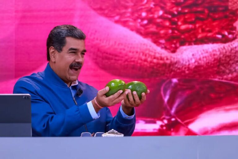 Venezuela concedió primera Indicación Geográfica Protegida al aguacate yaracuyano