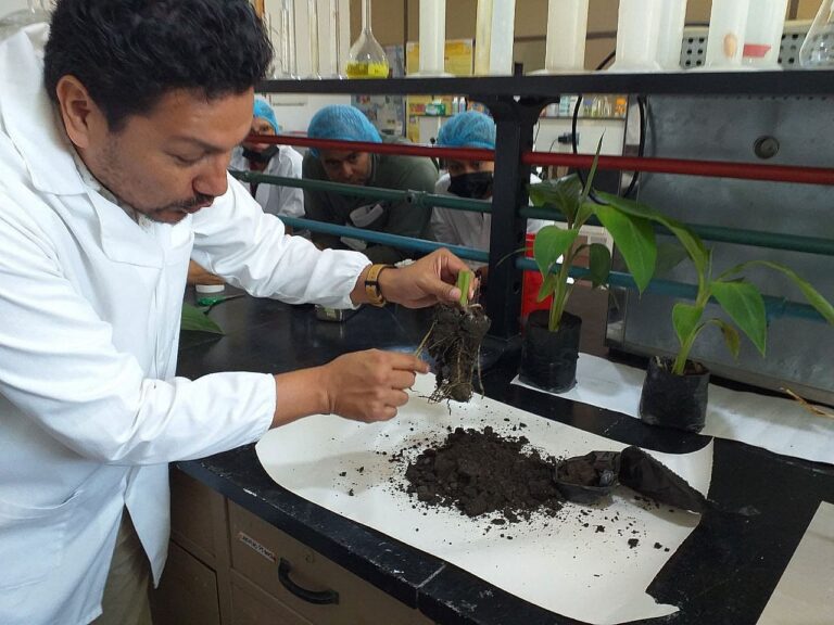 OIEA y Venezuela unen esfuerzos para combatir patógenos con bioproductos