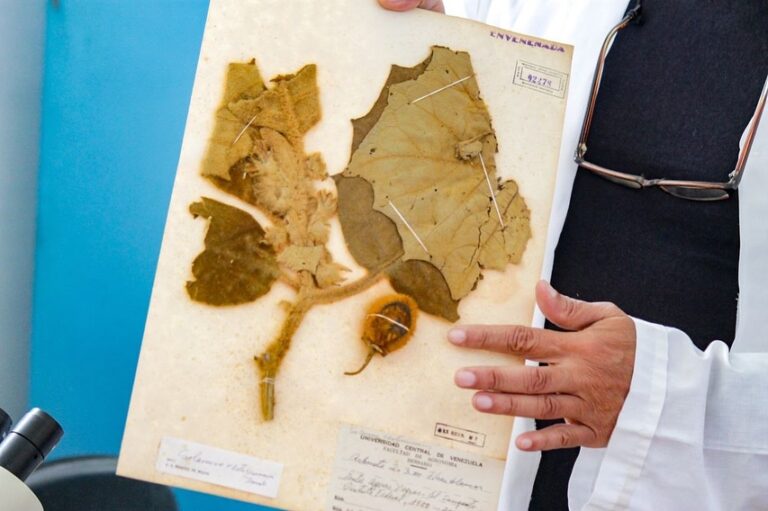 Ruta Científica Agronómica Lara
