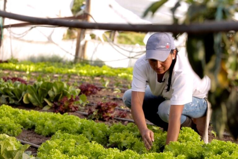 Foro Chat de la ACAV destaca el papel de las mujeres en la investigación agroproductiva