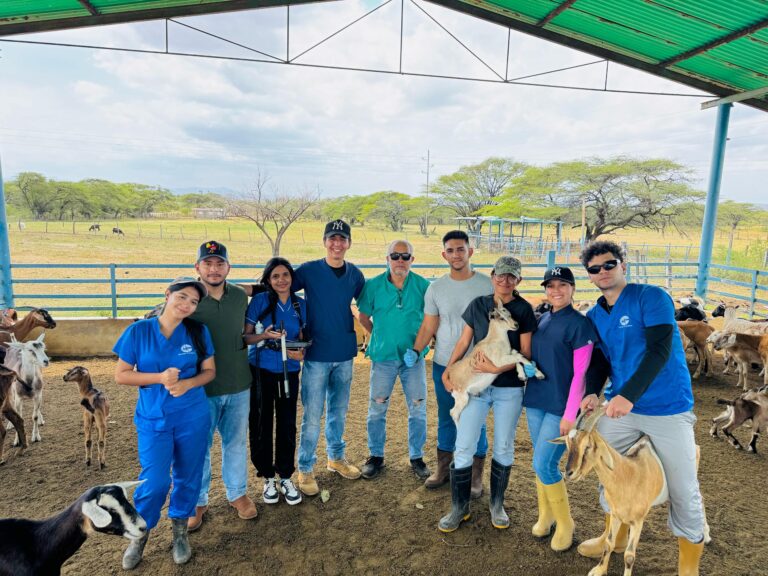 Mincyt realiza taller básico de ecografía reproductiva en bovinos para contribuir con la formación de médicos veterinarios en Falcón