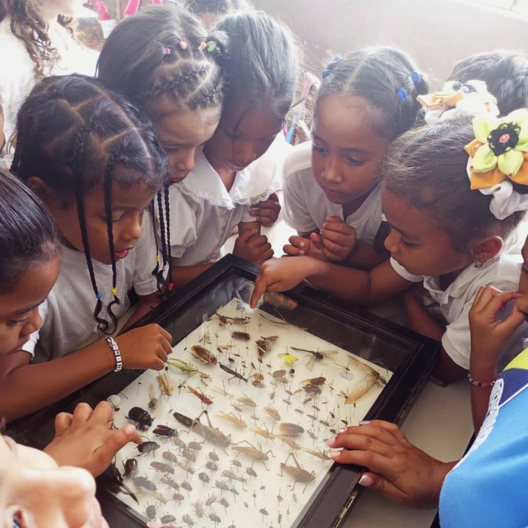 Plan de Masificación de Semilleros Científicos fortalece la educación en Nueva Esparta