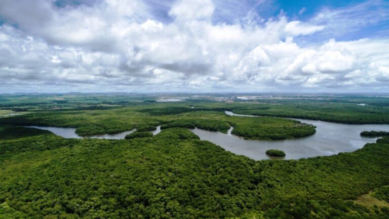 Venezuela promueve agenda científico-tecnológica y ecosocialista en el Día Internacional de la Madre Tierra