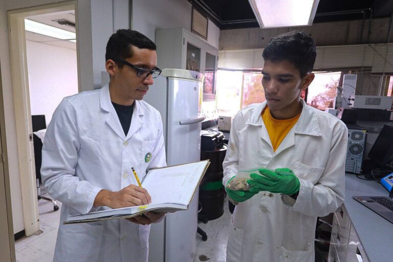 Investigadores del IDEA analizan carbono almacenado en praderas de pastos marinos para mitigar efectos de la crisis climática
