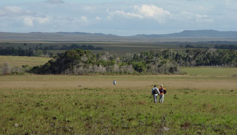Centro de ecología del IVIC presentó seminario sobre Gradiente de bosques de Sierra de Lema la Gran Sabana