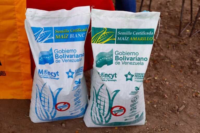 semillas biotecnológica, alianza científico tecnológica