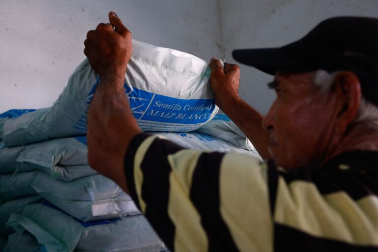 semillas biotecnológica, alianza científico tecnológica