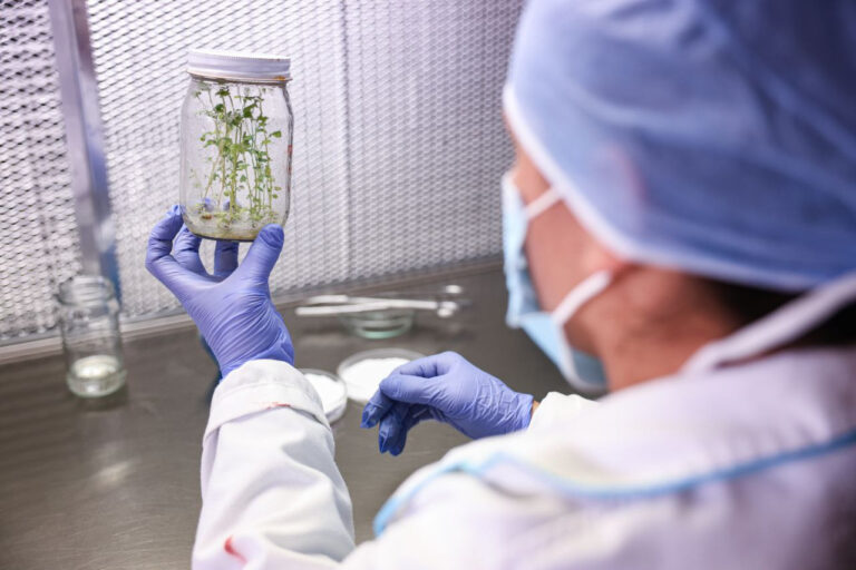 Invitan al taller virtual: Biotecnología y agroecología, una asociación exitosa