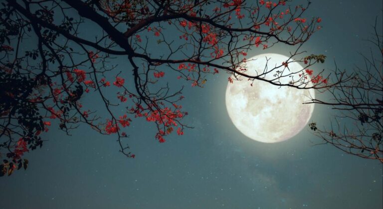 Mincyt te invita a disfrutar de la Luna llena de mayo en Guárico