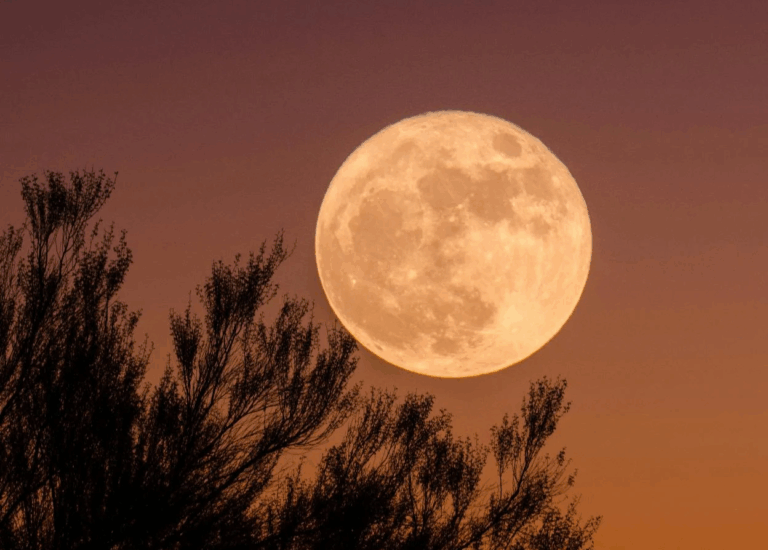 Invitan a disfrutar de la Luna de las Flores en Guárico este lunes