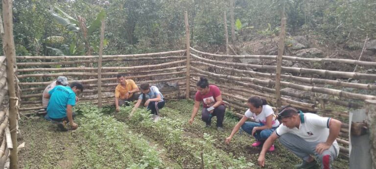 Alianza Científico-Campesina fortalece producción de papa María Bonita en Barinas