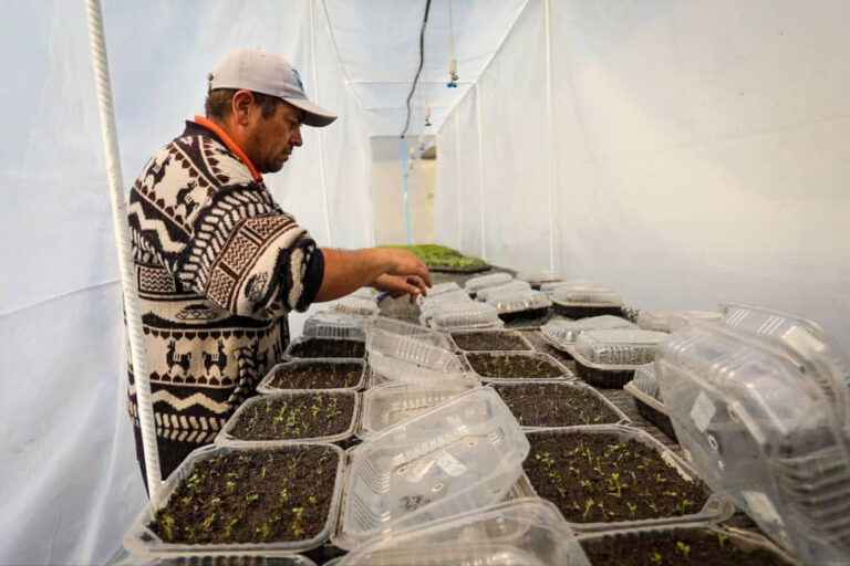 Mincyt ofrece taller virtual sobre manejo agroecológico de plagas