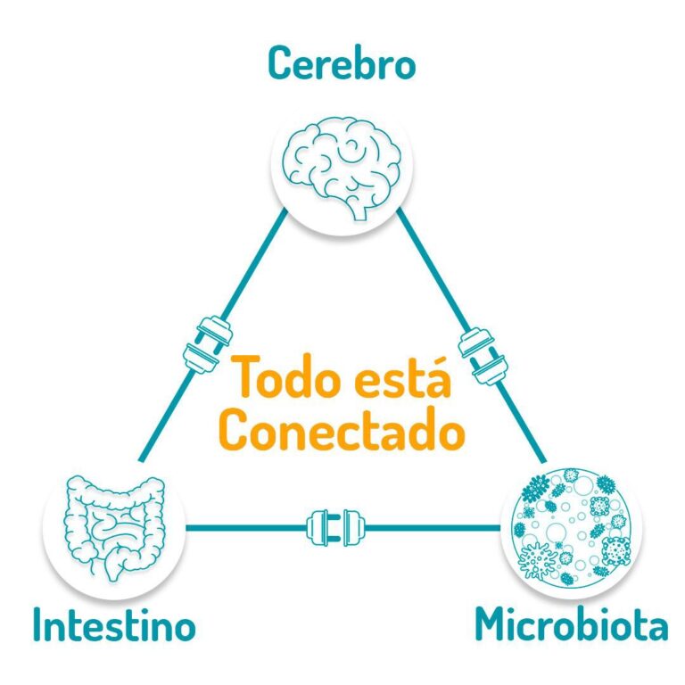 Microbiota: Comunicación entre el cerebro y el intestino es bidireccional
