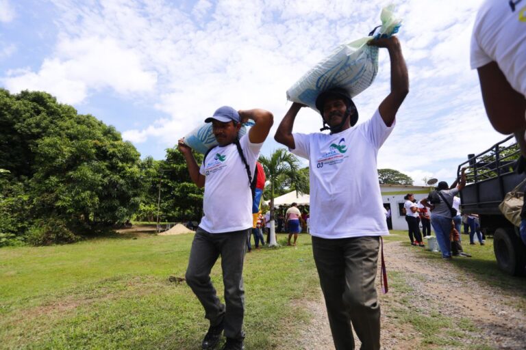 Apure entrega de semillas de maíz