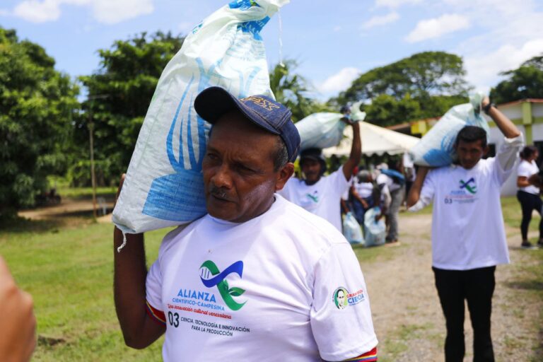 Apure entrega de semillas de maíz
