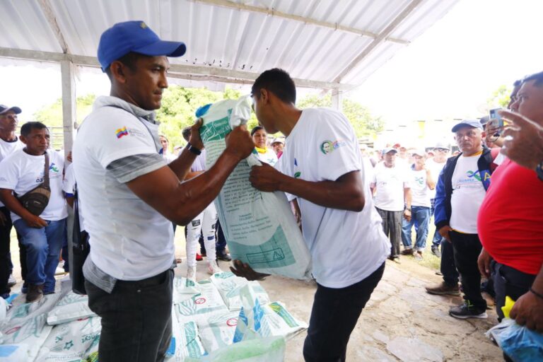 Apure entrega de semillas de maíz