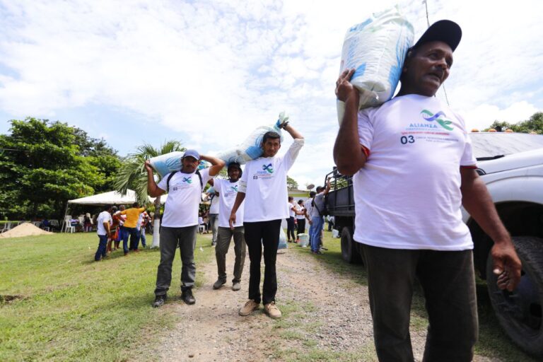 Apure entrega de semillas de maíz