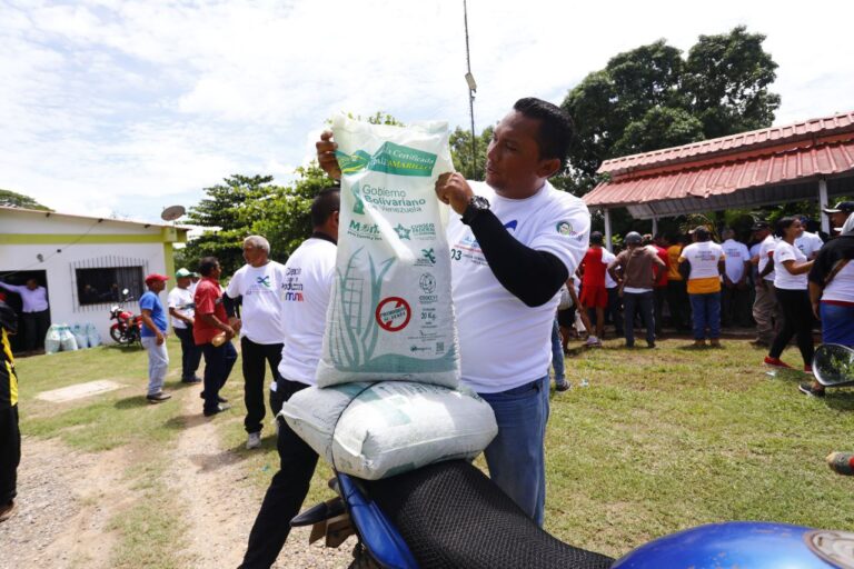 Apure entrega de semillas de maíz