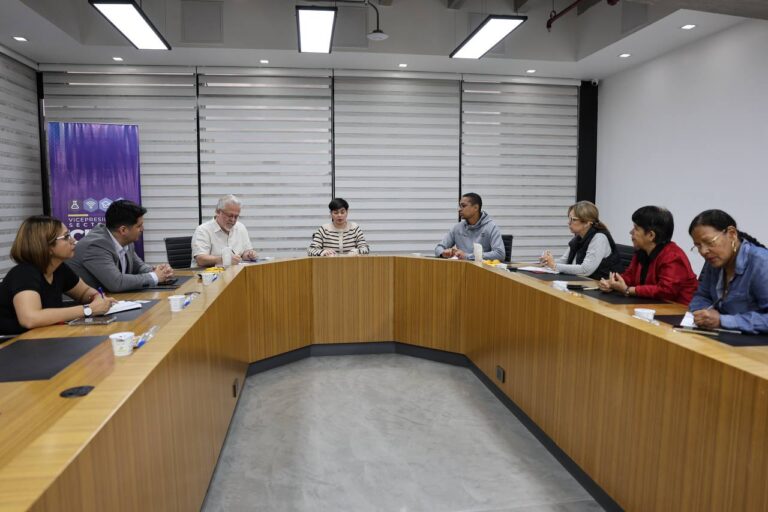 Vicepresidencia Sectorial de Ciencia, Tecnología, Ecosocialismo y Salud revisa agenda de cooperación con OPS