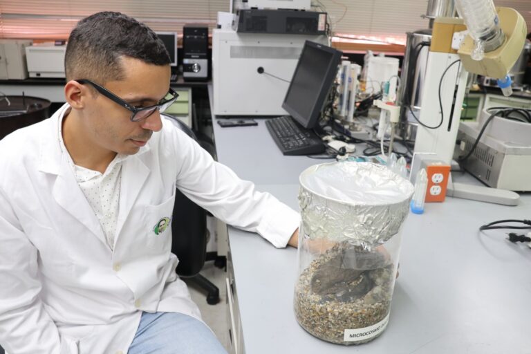 Biólogos del IDEA destacan importancia de la investigación para protección de los océanos
