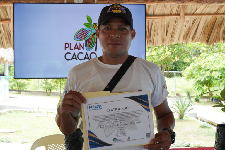Plan Cacao Sucre, plántulas