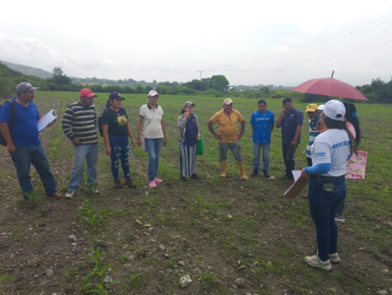Yaracuy | Realizan jornada para productores sobre monitoreo integrado de plagas