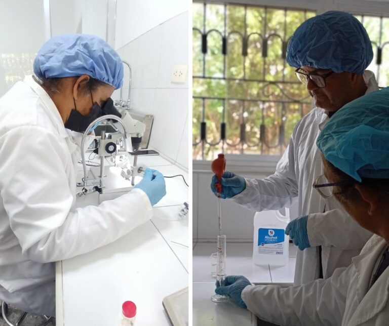 ACAV desarrolla proyectos de investigación para fortalecer la apicultura en el país