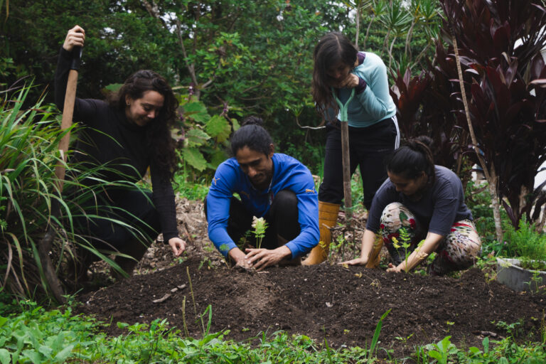 Agricultura en la praxis busca volver a las raíces de cultivos artesanales y sustentables