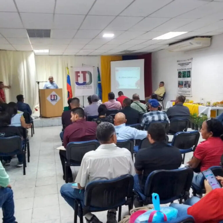 Cacao deltano se convierte en rubro clave para desarrollo agroindustrial de la entidad