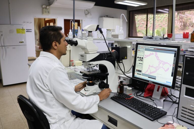 Investigadores del IDEA impulsan la agroecología a través de microorganismos benéficos