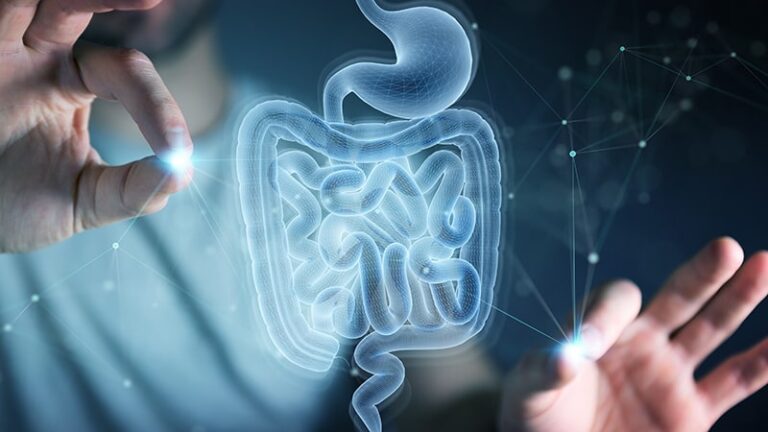 El papel de la microbiota en la prevención de las enfermedades