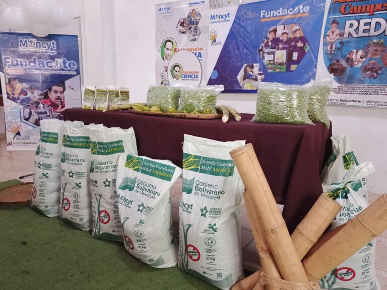 Productores de Amazonas reciben semillas certificadas