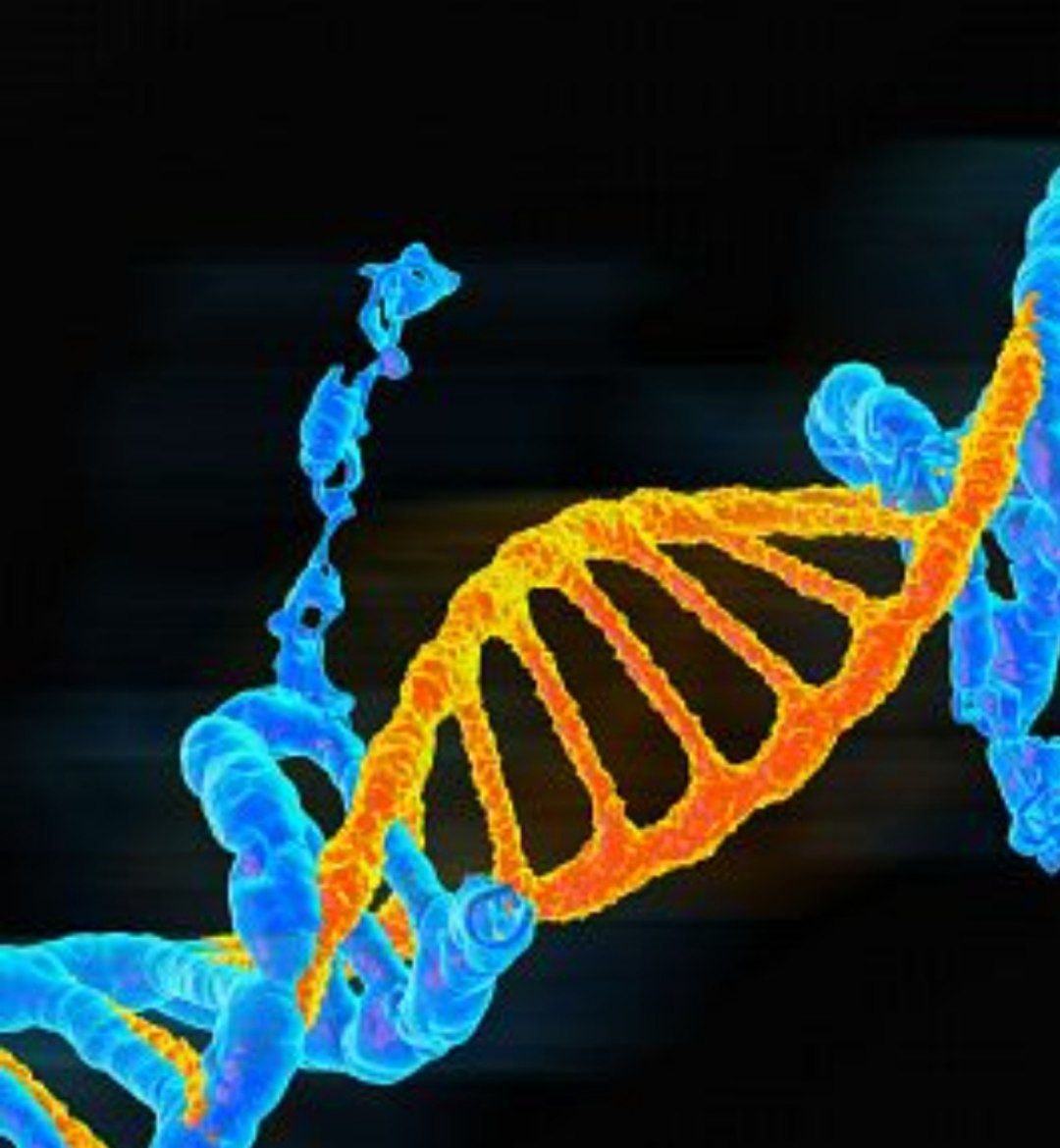 Investigadores diseñan un dominioma humano 1, un catálogo de medio millón de mutaciones en el ADN